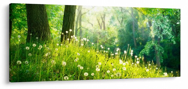 Slika - Čarobna livada puna maslačaka (120x50 cm)