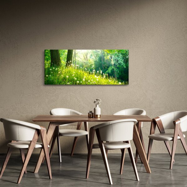 Slika - Čarobna livada puna maslačaka (120x50 cm)