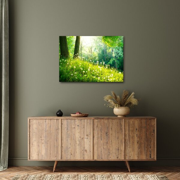 Slika - Čarobna livada puna maslačaka (70x50 cm)