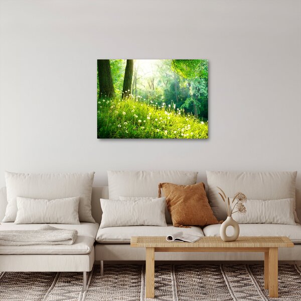 Slika - Čarobna livada puna maslačaka (70x50 cm)