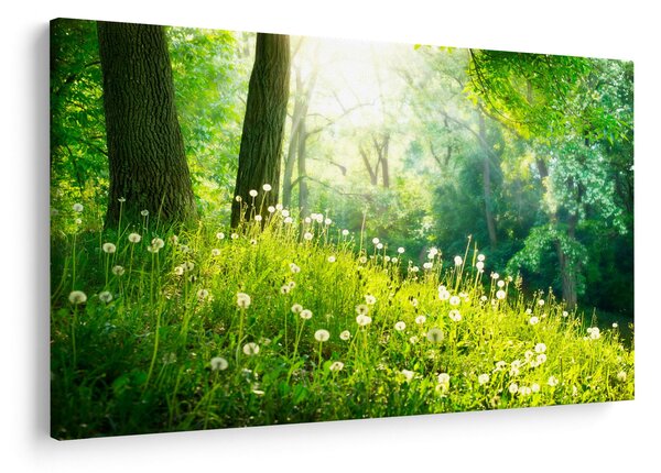 Slika - Čarobna livada puna maslačaka (90x60 cm)