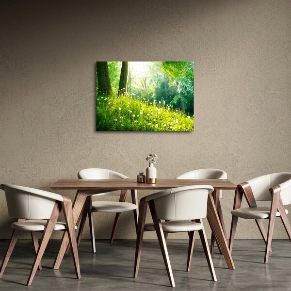 Slika - Čarobna livada puna maslačaka (70x50 cm)