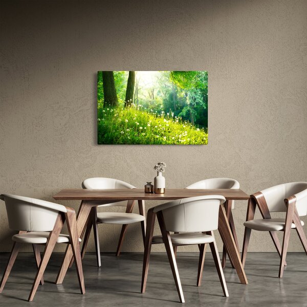 Slika - Čarobna livada puna maslačaka (90x60 cm)