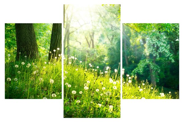 Slika - Čarobna livada puna maslačaka (90x60 cm)