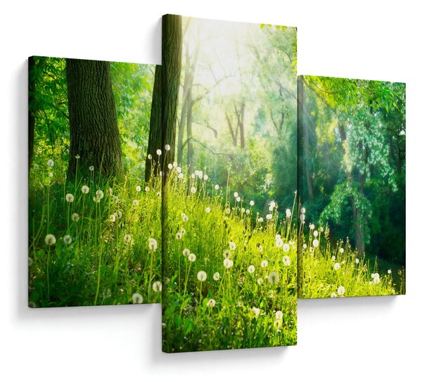 Slika - Čarobna livada puna maslačaka (90x60 cm)
