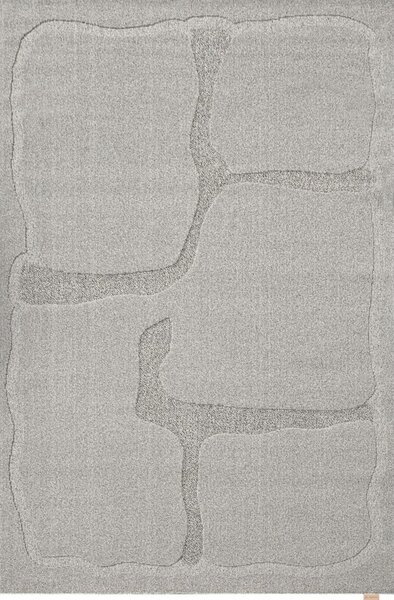 Sivi vunen tepih 200x300 cm Morphic Organica – Agnella