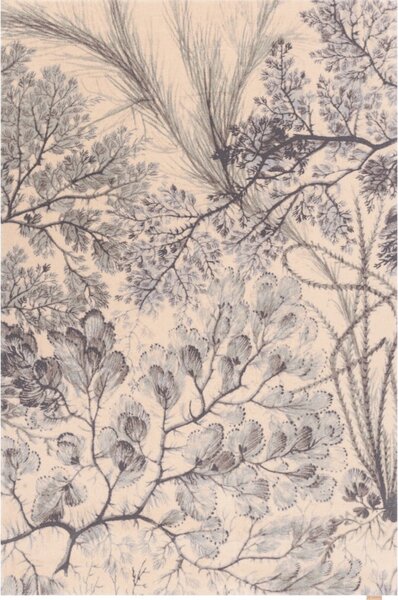 Mentol zeleni/bež vuneni tepih 133x190 cm V&A Calisia Kelp – Agnella