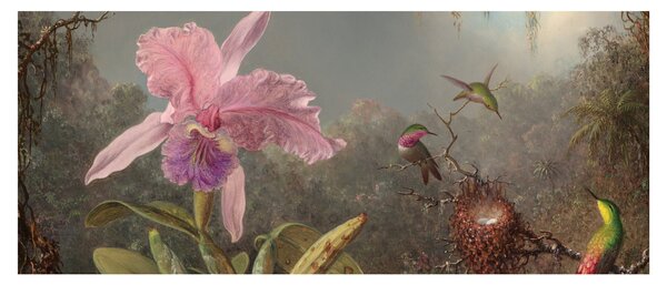 Slika - Martin Johnson Heade, Cattleya Orchid and Three Hummingbirds, reprodukcije (120x50 cm)