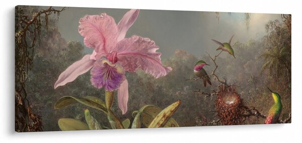 Slika - Martin Johnson Heade, Cattleya Orchid and Three Hummingbirds, reprodukcije (120x50 cm)