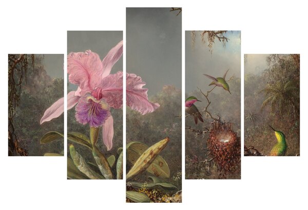 Slika - Martin Johnson Heade, Cattleya Orchid and Three Hummingbirds, reprodukcije (150x105 cm)