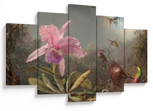 Slika - Martin Johnson Heade, Cattleya Orchid and Three Hummingbirds, reprodukcije (150x105 cm)