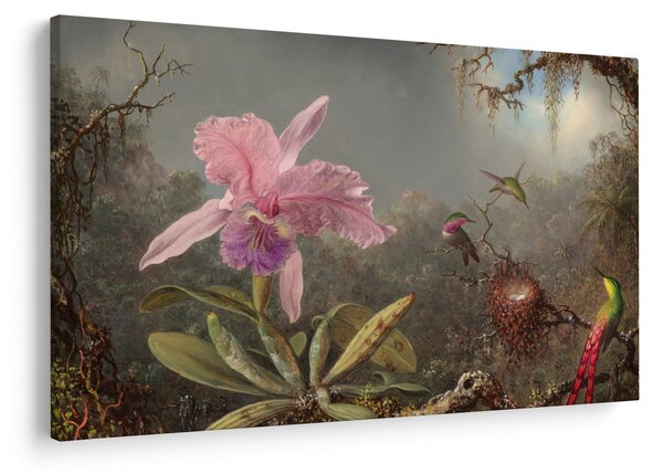 Slika - Martin Johnson Heade, Cattleya Orchid and Three Hummingbirds, reprodukcije (90x60 cm)