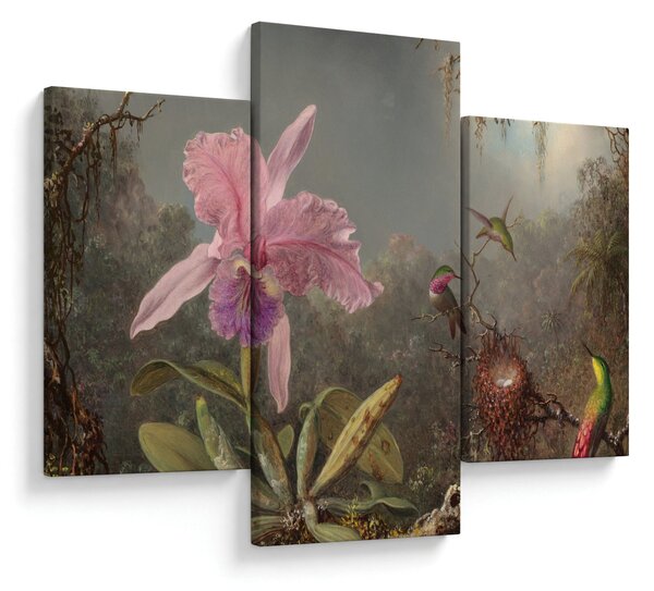 Slika - Martin Johnson Heade, Cattleya Orchid and Three Hummingbirds, reprodukcije (90x60 cm)