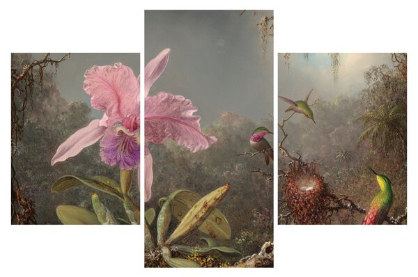 Slika - Martin Johnson Heade, Cattleya Orchid and Three Hummingbirds, reprodukcije (90x60 cm)