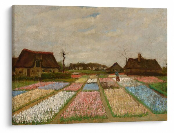Slika - Vincent van Gogh, Flower Beds in Holland, reprodukcije (70x50 cm)