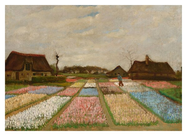 Slika - Vincent van Gogh, Flower Beds in Holland, reprodukcije (70x50 cm)