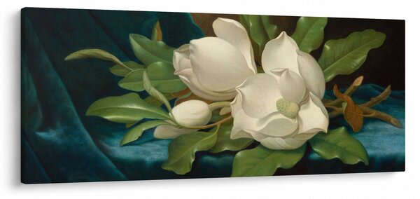 Slika - Martin Johnson Heade, Giant Magnolias on a Blue Velvet Cloth, reprodukcije (120x50 cm)