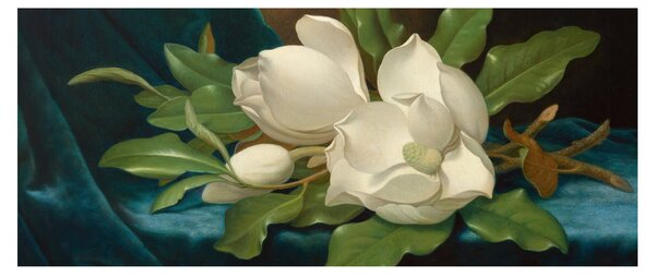 Slika - Martin Johnson Heade, Giant Magnolias on a Blue Velvet Cloth, reprodukcije (120x50 cm)