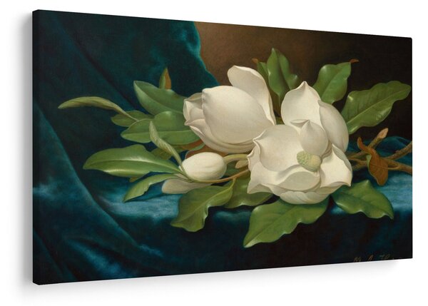 Slika - Martin Johnson Heade, Giant Magnolias on a Blue Velvet Cloth, reprodukcije (90x60 cm)