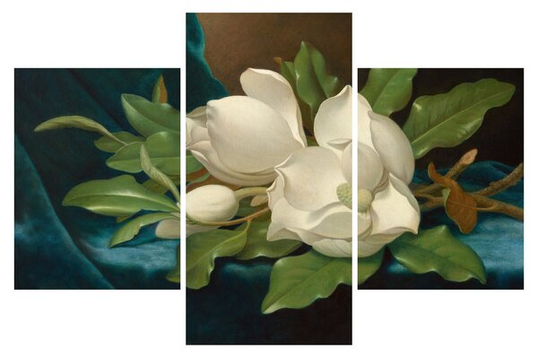 Slika - Martin Johnson Heade, Giant Magnolias on a Blue Velvet Cloth, reprodukcije (90x60 cm)