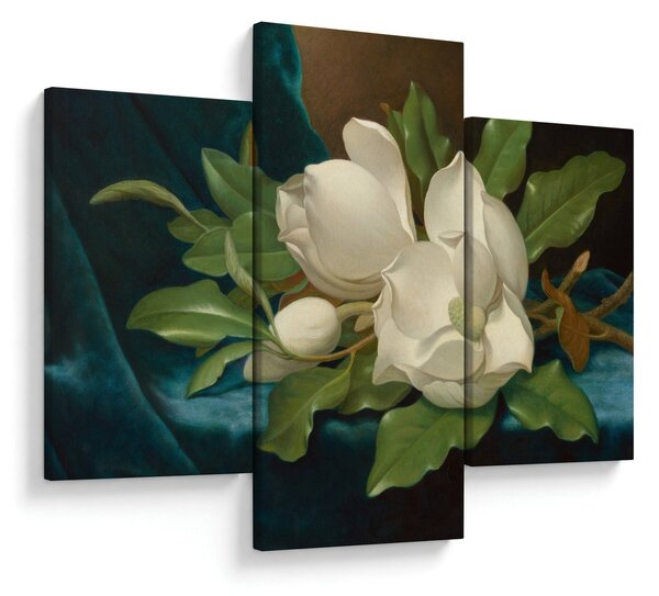 Slika - Martin Johnson Heade, Giant Magnolias on a Blue Velvet Cloth, reprodukcije (90x60 cm)