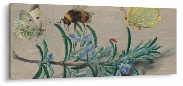 Slika - Jan van Kessel the Elder, Insects and a Sprig of Rosemary, reprodukcije (120x50 cm)