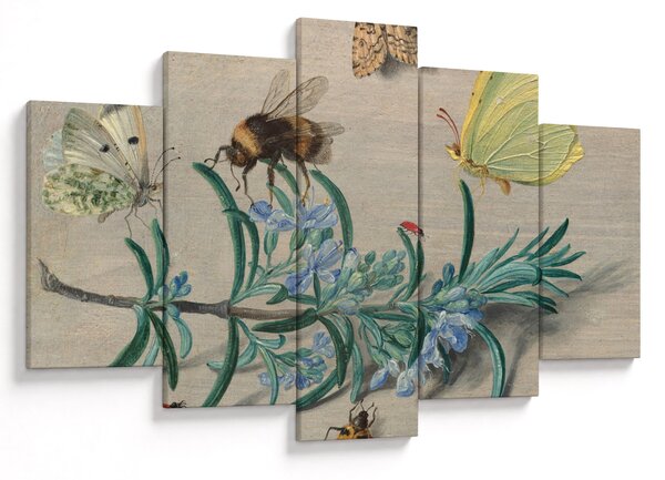 Slika - Jan van Kessel the Elder, Insects and a Sprig of Rosemary, reprodukcije (150x105 cm)