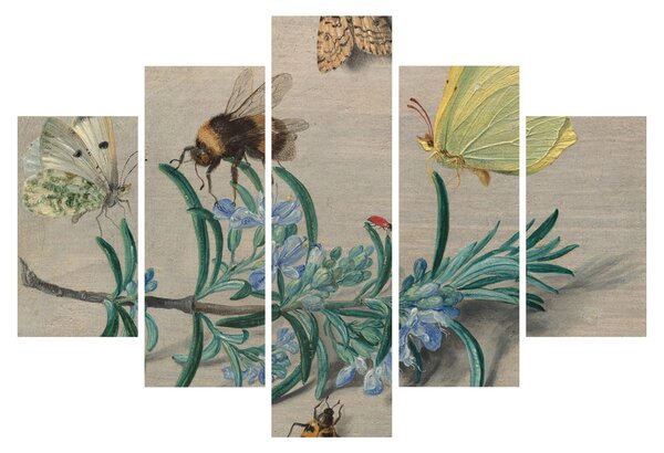 Slika - Jan van Kessel the Elder, Insects and a Sprig of Rosemary, reprodukcije (150x105 cm)
