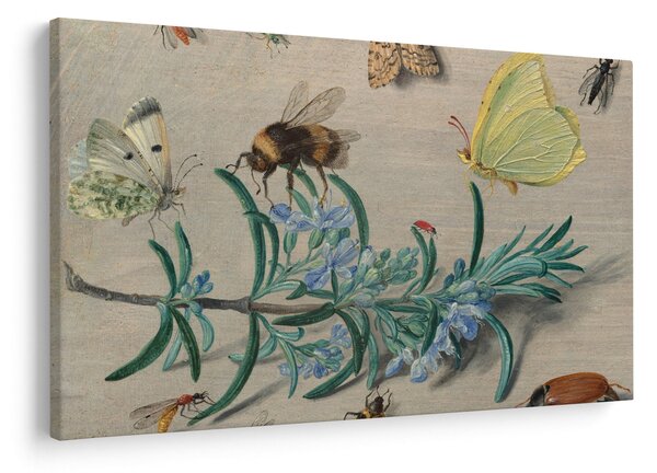 Slika - Jan van Kessel the Elder, Insects and a Sprig of Rosemary, reprodukcije (90x60 cm)