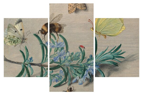 Slika - Jan van Kessel the Elder, Insects and a Sprig of Rosemary, reprodukcije (90x60 cm)