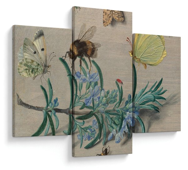 Slika - Jan van Kessel the Elder, Insects and a Sprig of Rosemary, reprodukcije (90x60 cm)