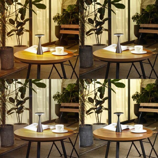 Stolne Lampa Lindby, Evelen, prigušiv, Crno, Balkon, Plastika, Moderan