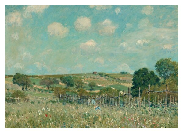 Slika - Alfred Sisley, Meadow, reprodukcije (70x50 cm)