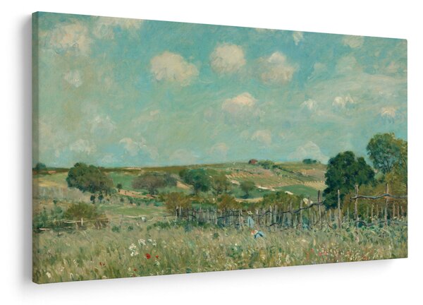 Slika - Alfred Sisley, Meadow, reprodukcije (90x60 cm)