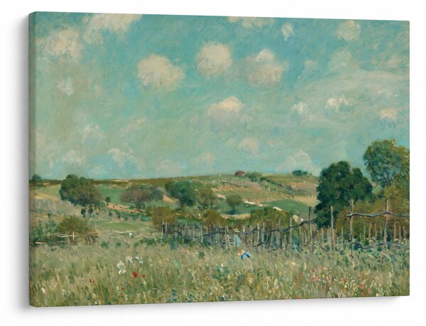 Slika - Alfred Sisley, Meadow, reprodukcije (70x50 cm)