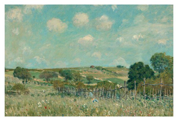 Slika - Alfred Sisley, Meadow, reprodukcije (90x60 cm)