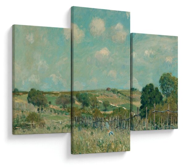 Slika - Alfred Sisley, Meadow, reprodukcije (90x60 cm)
