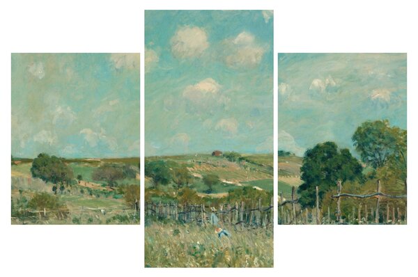 Slika - Alfred Sisley, Meadow, reprodukcije (90x60 cm)