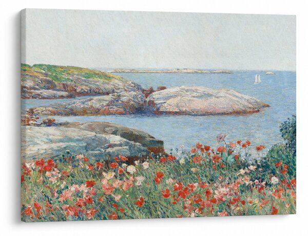 Slika - Childe Hassam, Poppies, Isles of Shoals, reprodukcije (70x50 cm)