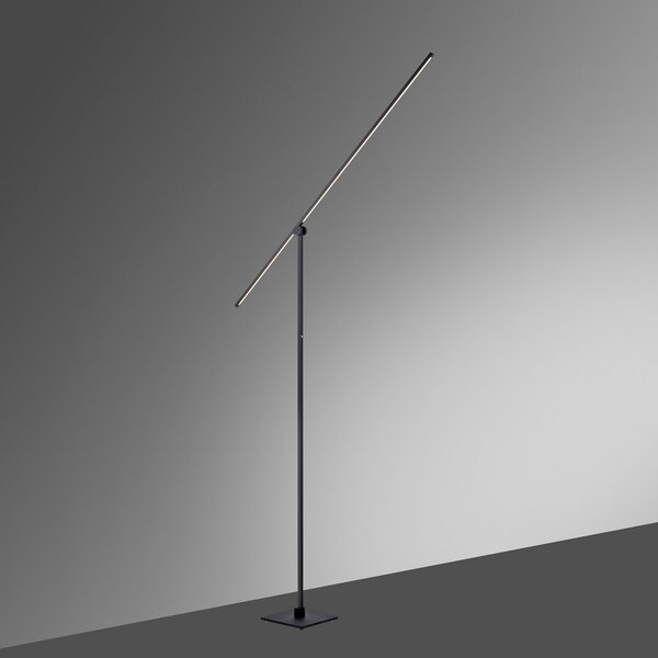 Podne Lampa PURE, PURE Grafo, prigušiv, Crno, Dnevna soba, Metal, Moderan