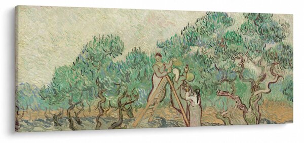 Slika - Vincent van Gogh, The Olive Orchard, reprodukcije (120x50 cm)