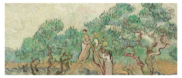 Slika - Vincent van Gogh, The Olive Orchard, reprodukcije (120x50 cm)