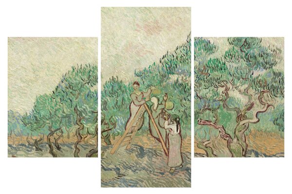 Slika - Vincent van Gogh, The Olive Orchard, reprodukcije (90x60 cm)