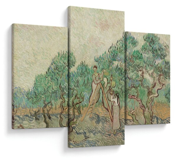 Slika - Vincent van Gogh, The Olive Orchard, reprodukcije (90x60 cm)