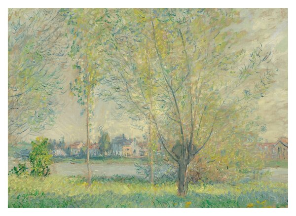Slika - Claude Monet, The Willows, reprodukcije (70x50 cm)