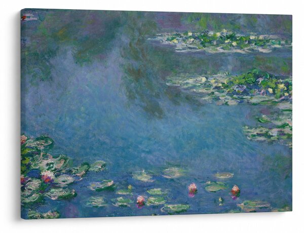 Slika - Claude Monet, Water Lilies, reprodukcije (70x50 cm)
