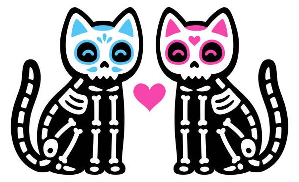 Ilustracija Black skeleton cats couple with Mexican, Sudowoodo