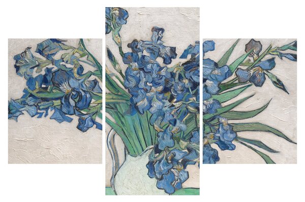 Slika - Vincent van Gogh, Irises, reprodukcije (90x60 cm)
