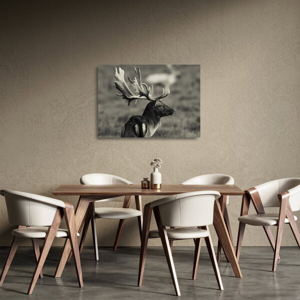 Staklena slika - Jelen (70x50 cm)