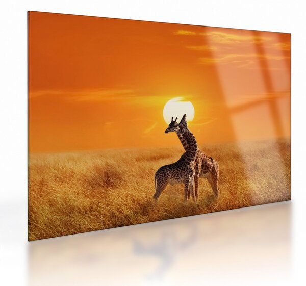 Staklena slika - Žirafe u nacionalnom parku Serengeti (70x50 cm)